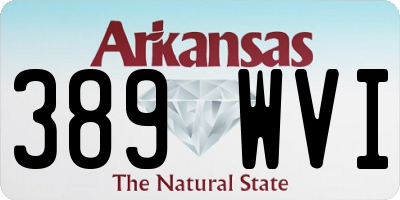 AR license plate 389WVI