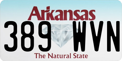 AR license plate 389WVN