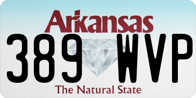 AR license plate 389WVP