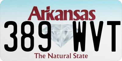 AR license plate 389WVT