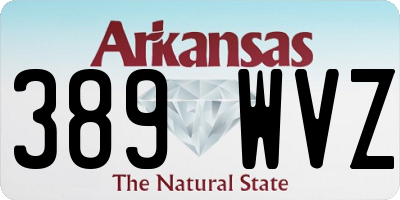 AR license plate 389WVZ