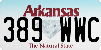 AR license plate 389WWC
