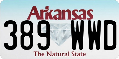 AR license plate 389WWD