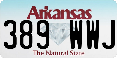 AR license plate 389WWJ