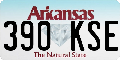 AR license plate 390KSE