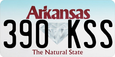 AR license plate 390KSS