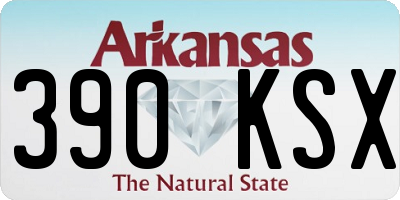 AR license plate 390KSX