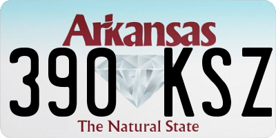 AR license plate 390KSZ