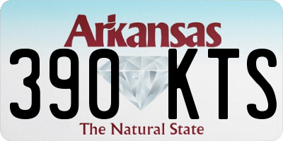 AR license plate 390KTS