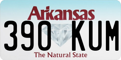 AR license plate 390KUM