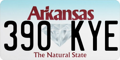 AR license plate 390KYE