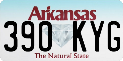 AR license plate 390KYG