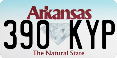 AR license plate 390KYP