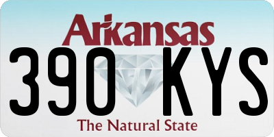 AR license plate 390KYS