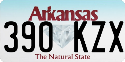 AR license plate 390KZX