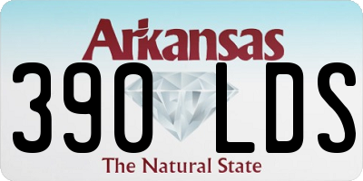 AR license plate 390LDS