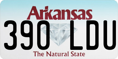 AR license plate 390LDU