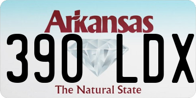 AR license plate 390LDX