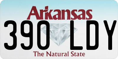 AR license plate 390LDY