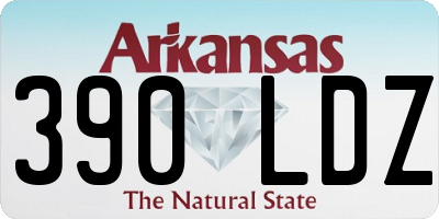 AR license plate 390LDZ
