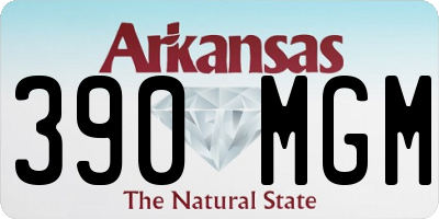 AR license plate 390MGM