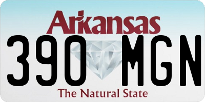 AR license plate 390MGN