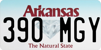 AR license plate 390MGY