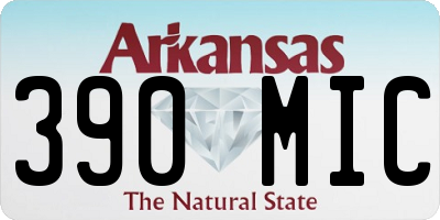 AR license plate 390MIC