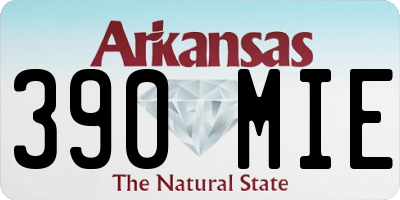 AR license plate 390MIE
