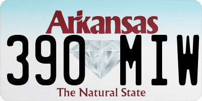 AR license plate 390MIW