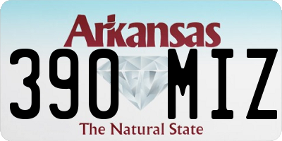 AR license plate 390MIZ
