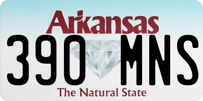 AR license plate 390MNS