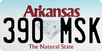 AR license plate 390MSK