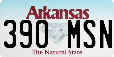 AR license plate 390MSN