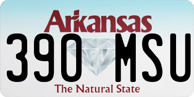 AR license plate 390MSU