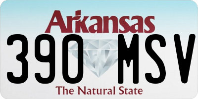 AR license plate 390MSV