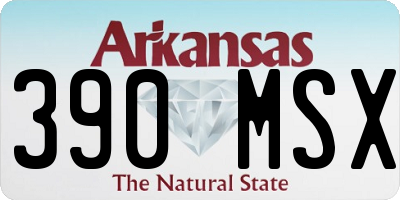 AR license plate 390MSX