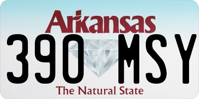 AR license plate 390MSY