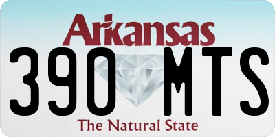 AR license plate 390MTS