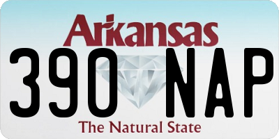 AR license plate 390NAP