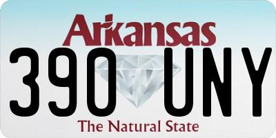 AR license plate 390UNY