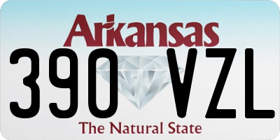 AR license plate 390VZL