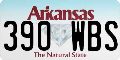 AR license plate 390WBS