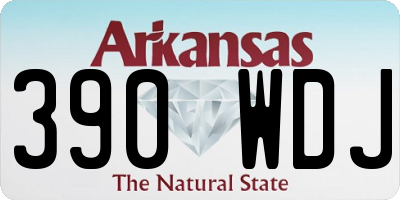 AR license plate 390WDJ