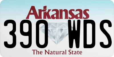AR license plate 390WDS