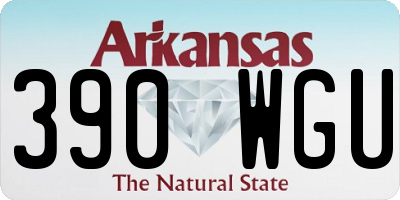 AR license plate 390WGU