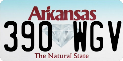 AR license plate 390WGV