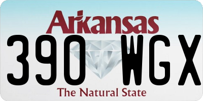 AR license plate 390WGX