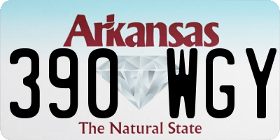 AR license plate 390WGY