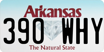 AR license plate 390WHY